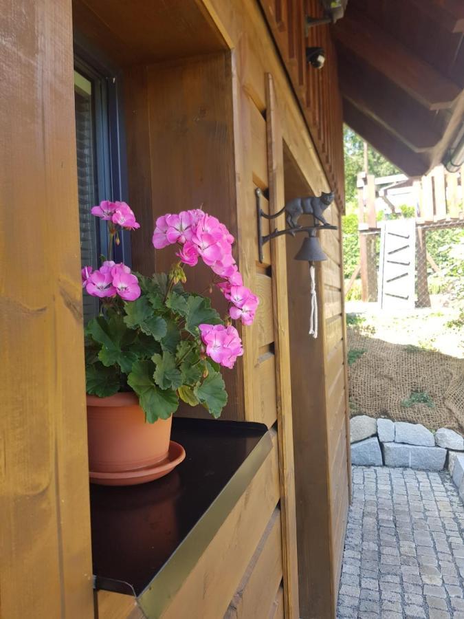 Roubenka Strma Villa Jesenik Luaran gambar